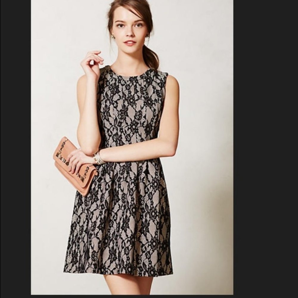 HD in Paris Violante lace fit and flare dress